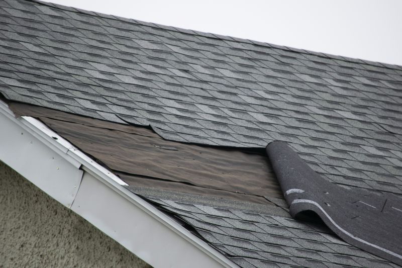 Signs You Need a New Roof